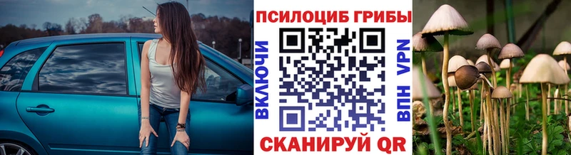 Псилоцибиновые грибы ЛСД  mega ссылка  Сортавала 