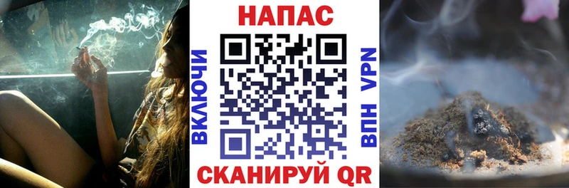 OMG как войти  Сортавала  Бошки Шишки OG Kush  продажа наркотиков 